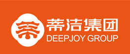 蒂洁集团